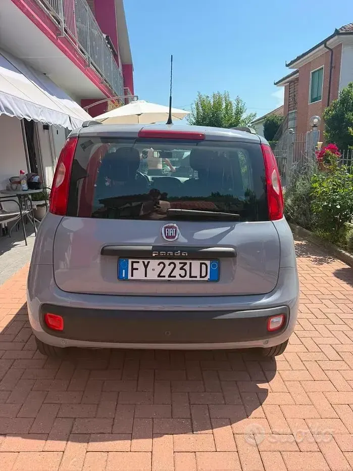 Usata Fiat Panda 69 CV (50 kW) 2019 Grigio Utilitaria