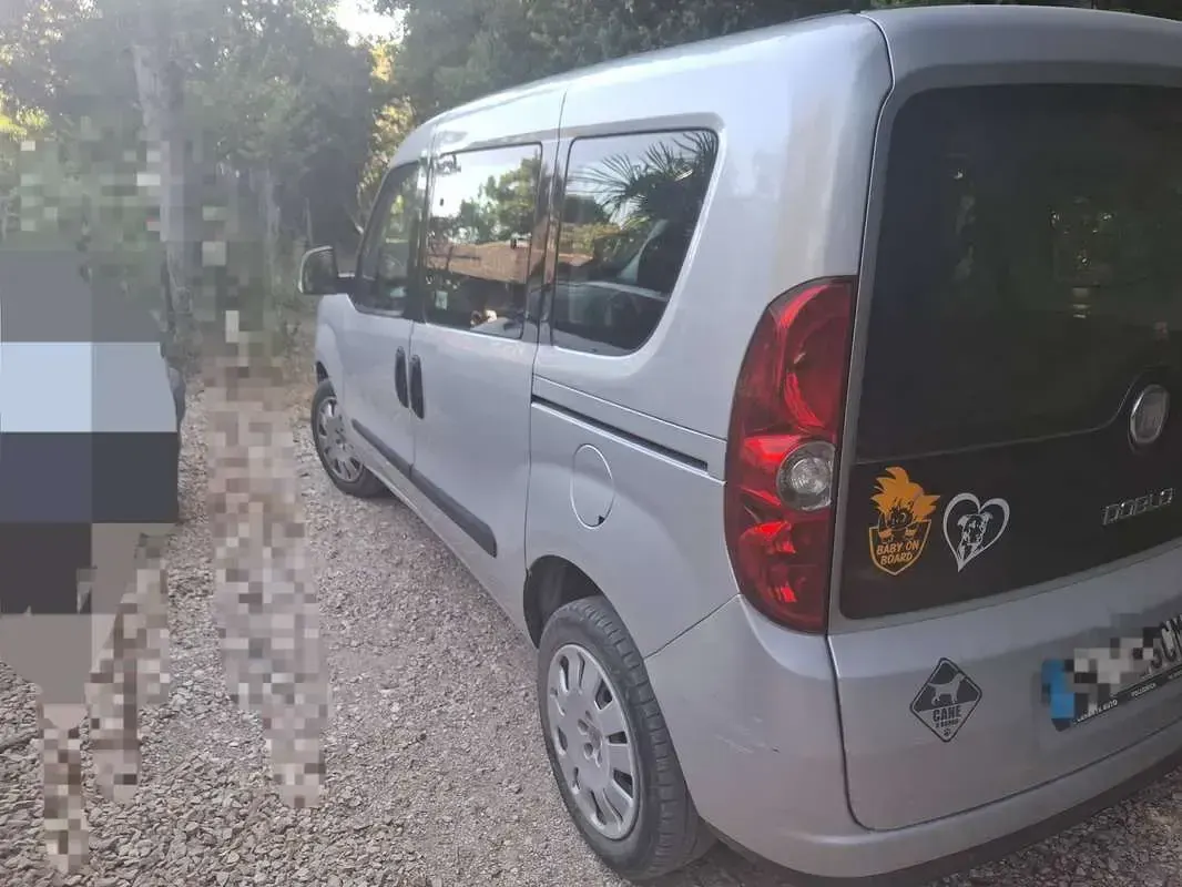 Usata Fiat Doblò Active 103 CV (75 kW) 2012 Argento Monovolume