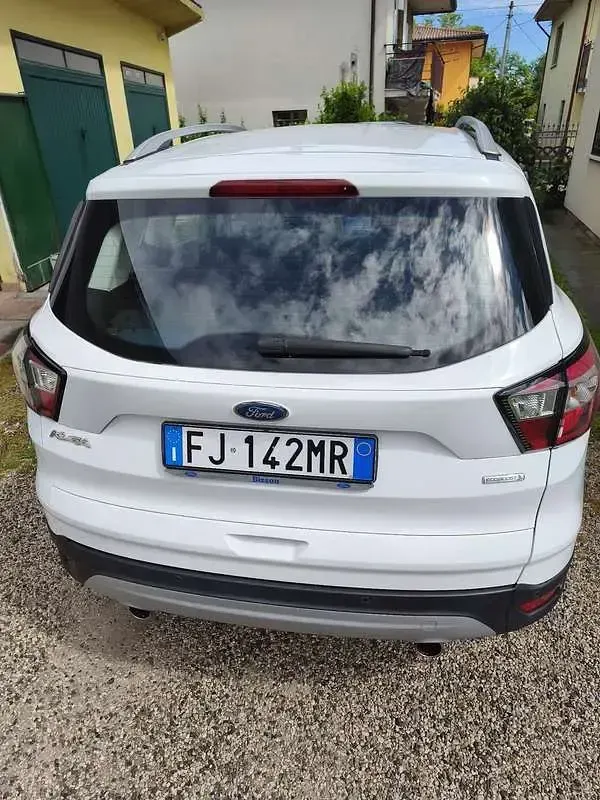 Usata Ford Kuga S 120 CV (88 kW) 2017 Bianco SUV