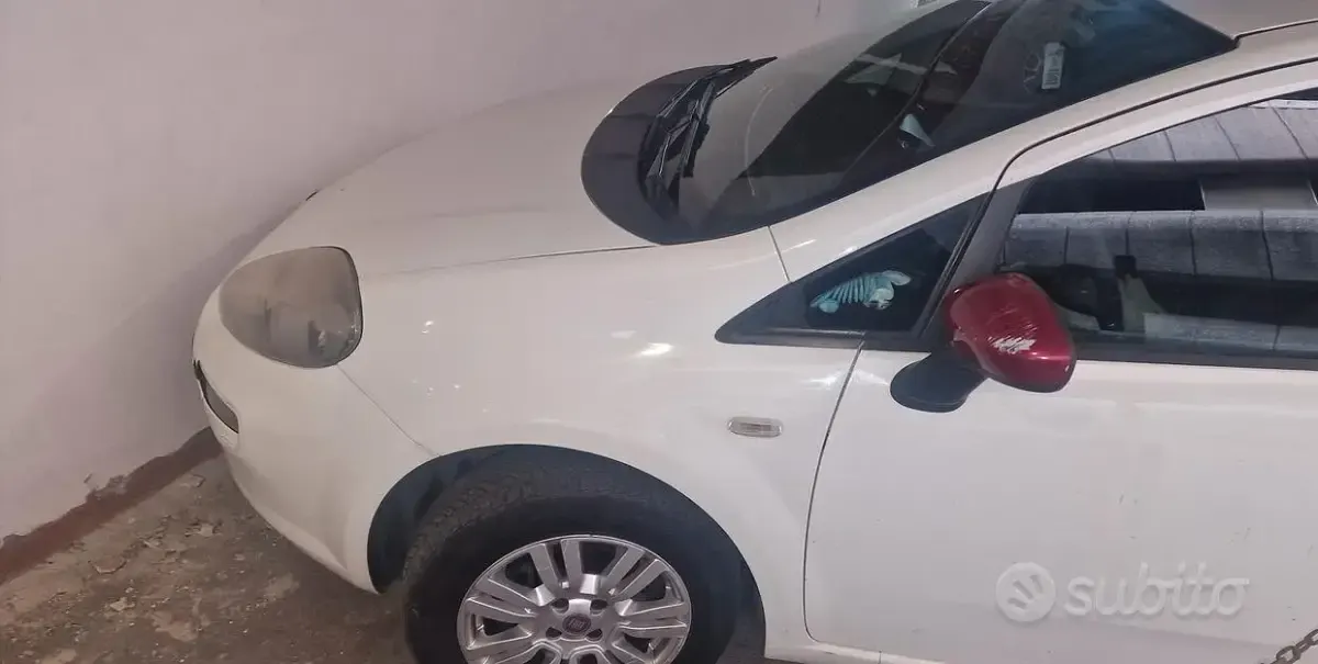 Usata Fiat Punto 65 CV (47 kW) 2012 Bianco Utilitaria
