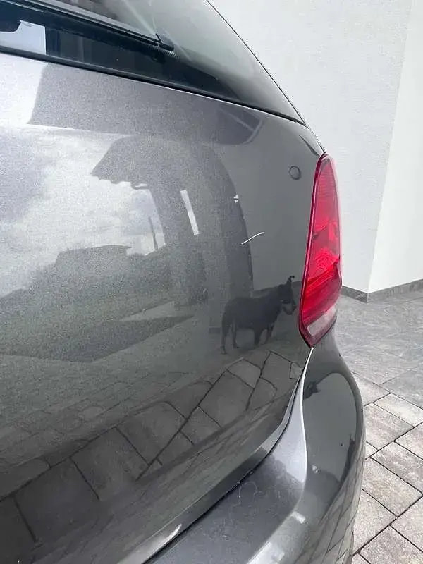 Usata VW Polo Comfortline 69 CV (50 kW) 2012 Utilitaria