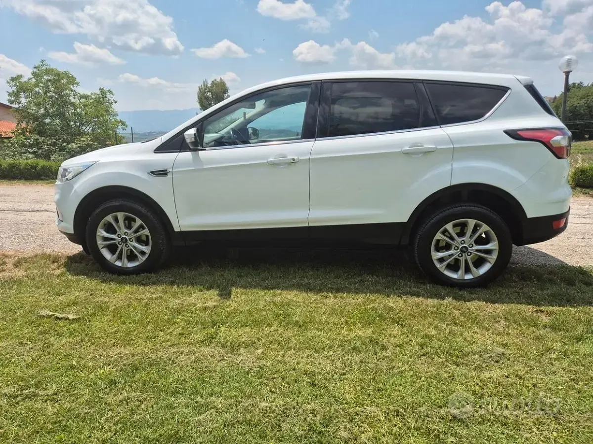 Usata Ford Kuga 120 CV (88 kW) 2019 Bianco SUV