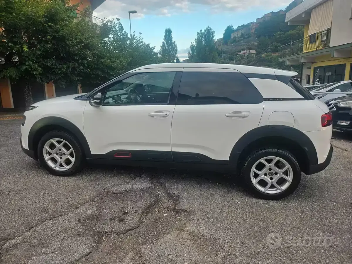 Usata Citroën C4 Cactus 102 CV (75 kW) 2020 Bianco Utilitaria