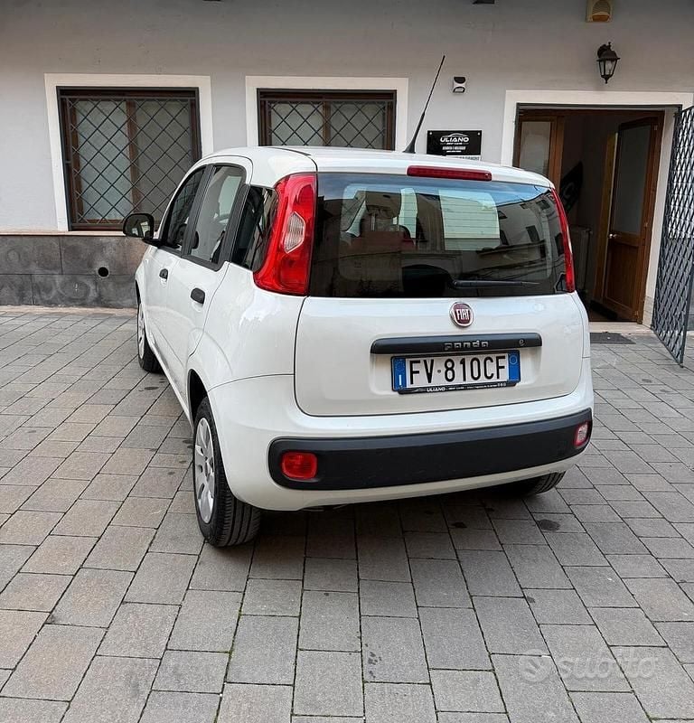 Usata Fiat Panda Easy 69 CV (50 kW) 2019 Bianco Berlina