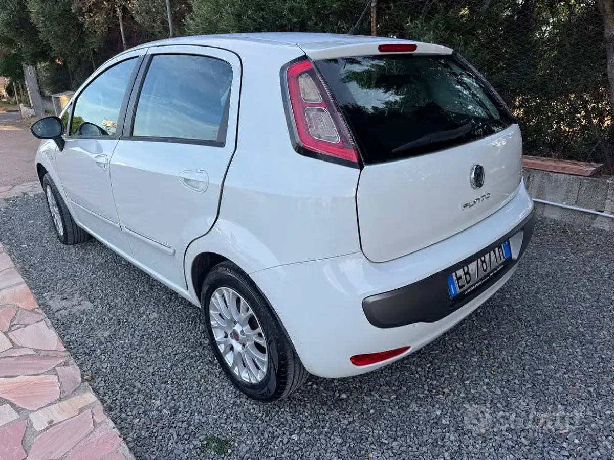 Usata Fiat Punto Evo Active 77 CV (56 kW) 2010 Bianco Utilitaria