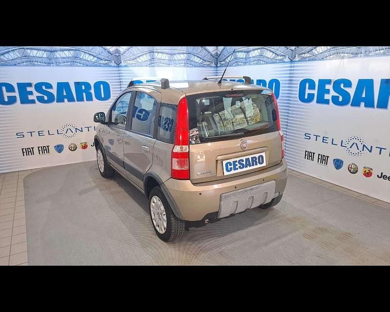 Usata Fiat Panda 4x4 Climbing 69 CV (50 kW) 2010 Beige spumeggiante (metallizza Utilitaria