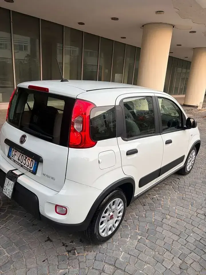 Usata Fiat Panda City Life 69 CV (50 kW) 2021 Other Utilitaria