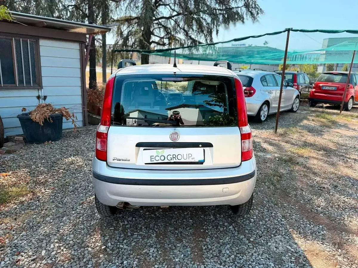 Usata Fiat Panda Dynamic 60 CV (44 kW) 2008 Grigio Utilitaria