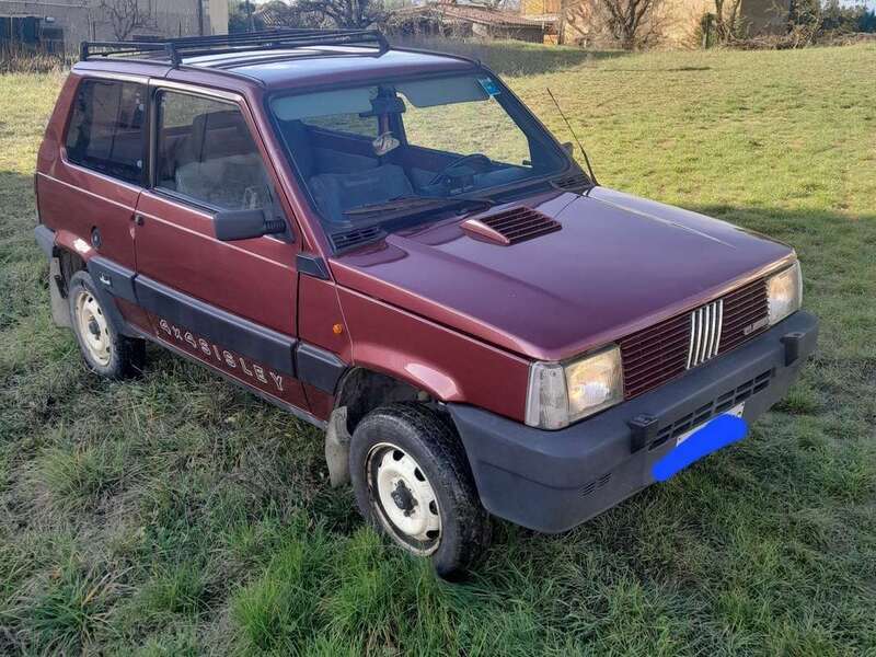 Usato 1991 Fiat Panda 4x4 1.0 Benzin 50 CV (5.200 €)
