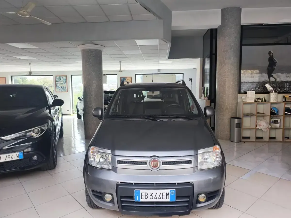 Usata Fiat Panda 4x4 Climbing 75 CV (55 kW) 2011 Grigio Utilitaria