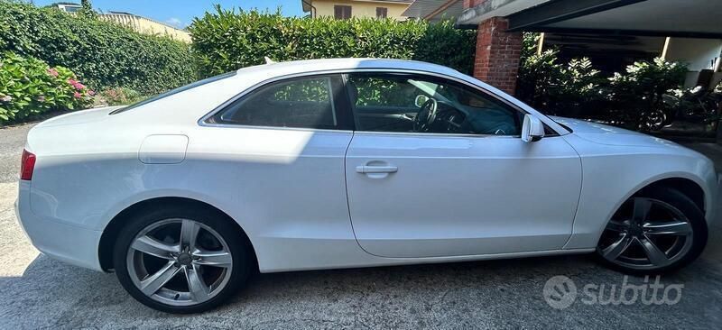Usata Audi A5 Business Plus 177 CV (130 kW) 2014 Bianco Coupé