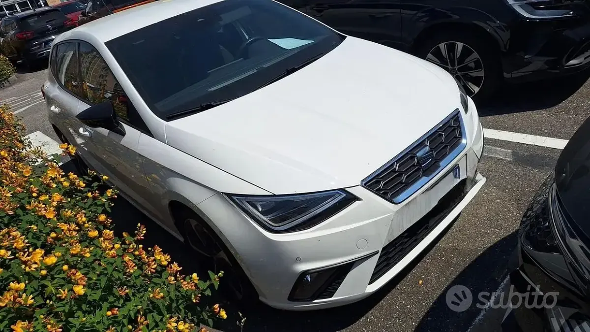 Usata Seat Ibiza FR 110 CV (80 kW) 2023 Bianco Utilitaria