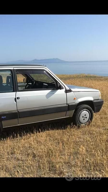 Usata Fiat Panda 1989 Grigio Monovolume