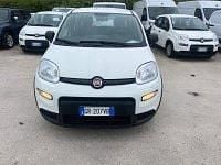 Usata Fiat Panda S 69 CV (50 kW) 2023 Bianco Utilitaria