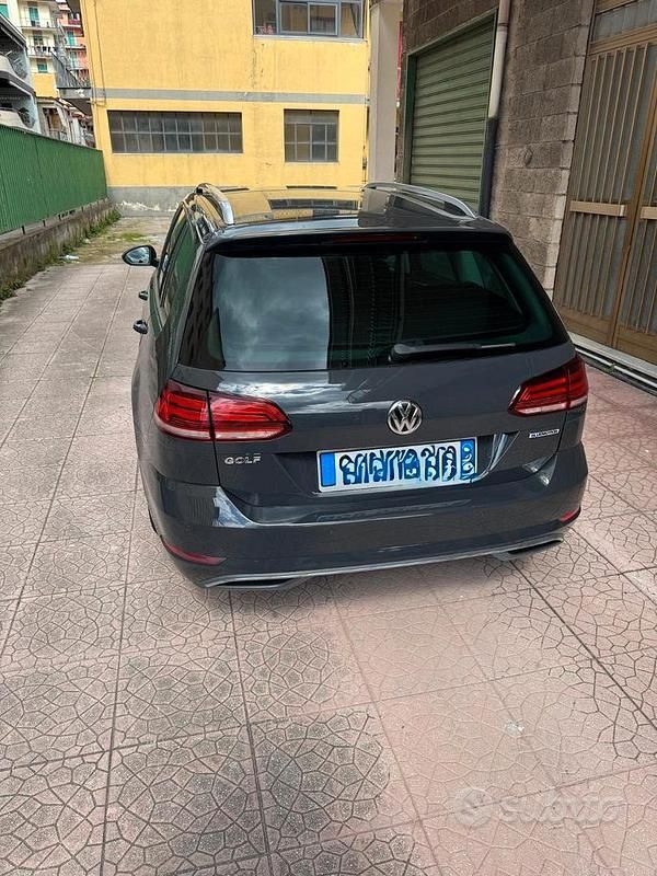 Usata VW Golf VIII Business 131 CV (96 kW) 2020 Grigio Station wagon