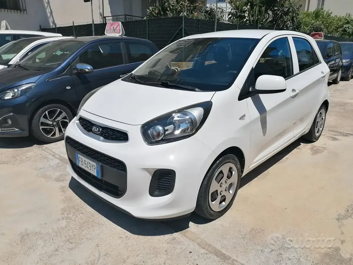 Usata Kia Picanto Active 67 CV (49 kW) 2016 Bianco Utilitaria