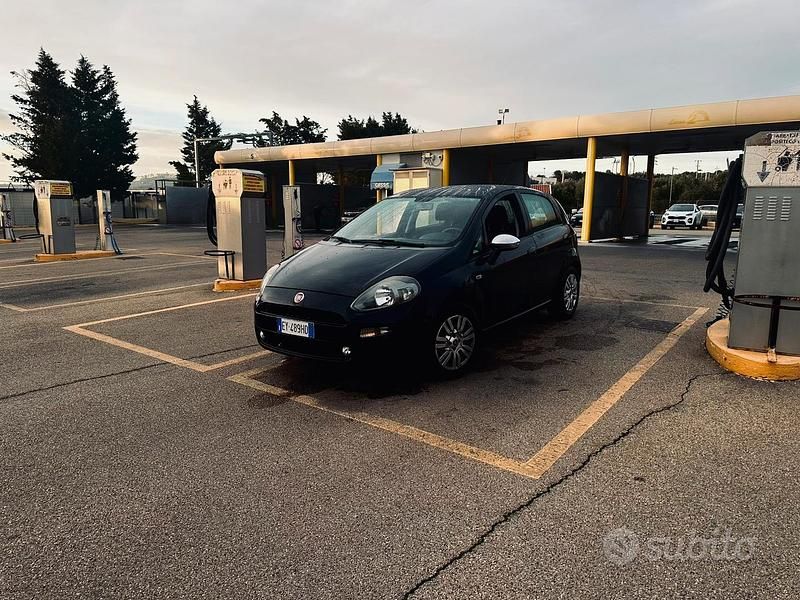 Usata Fiat Punto Evo Active 77 CV (56 kW) 2015 Utilitaria