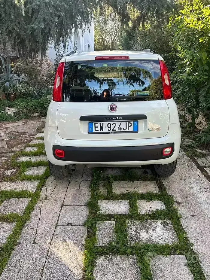 Usata Fiat Panda Easy 85 CV (62 kW) 2014 Bianco Utilitaria