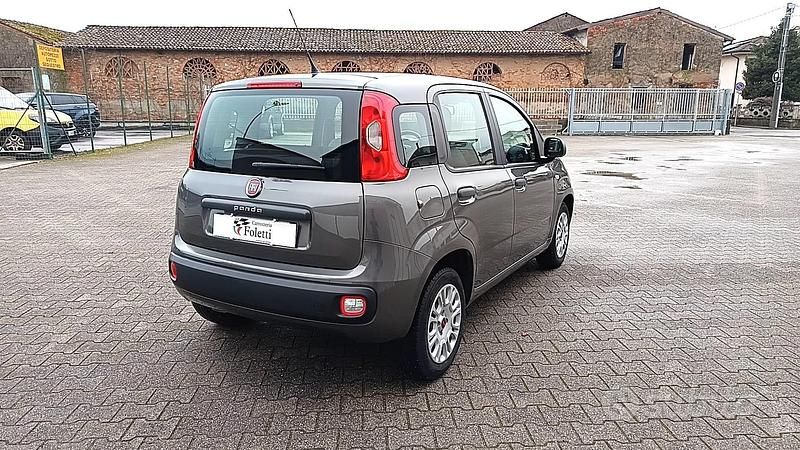 Usata Fiat Panda Easy 69 CV (50 kW) 2020 Grigio Utilitaria