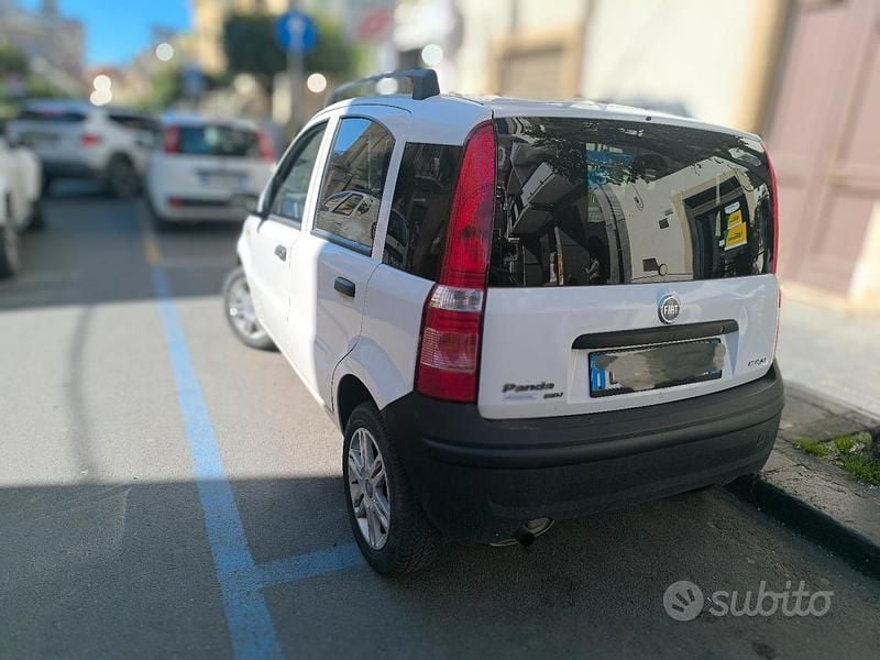Usata Fiat Panda 70 CV (51 kW) 2006 Bianco Utilitaria