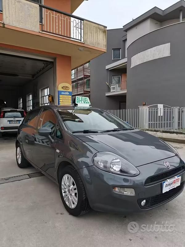 Usata Fiat Punto Lounge 77 CV (56 kW) 2016 Grigio Utilitaria