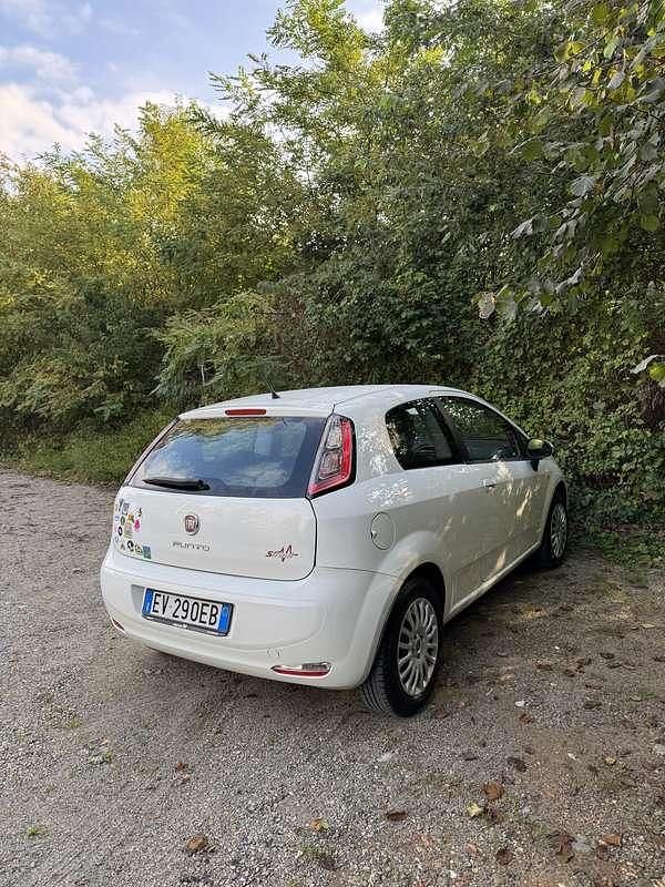 Usata Fiat Punto Street 69 CV (50 kW) 2014 Utilitaria