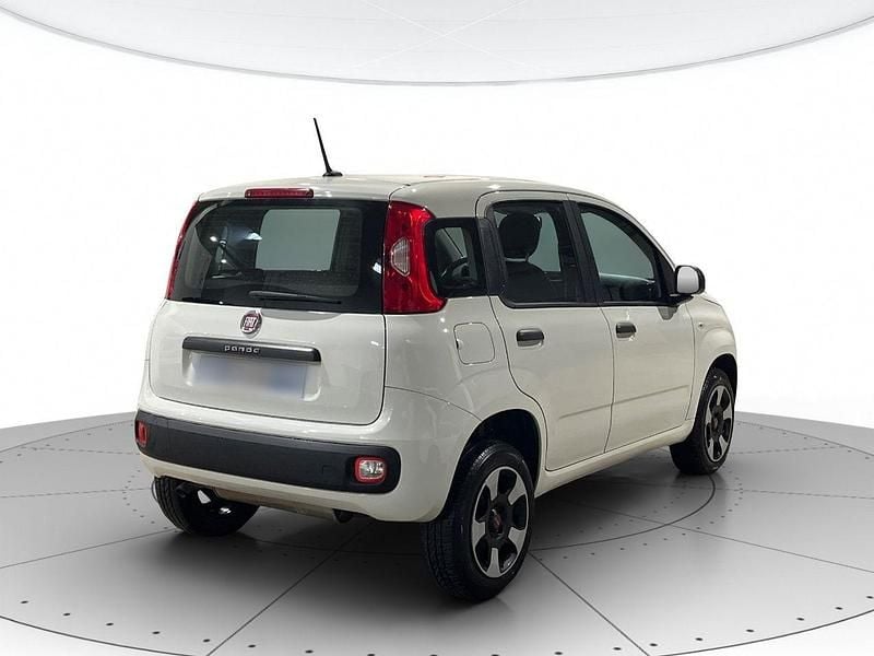Usata Fiat Panda Easy 70 CV (51 kW) 2020 Bianco gelato Utilitaria