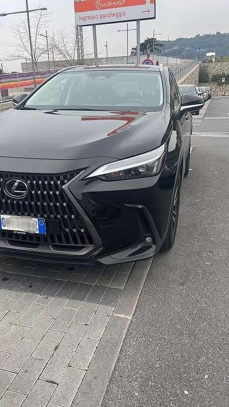 Usata Lexus NX350h 190 CV (139 kW) 2023 SUV