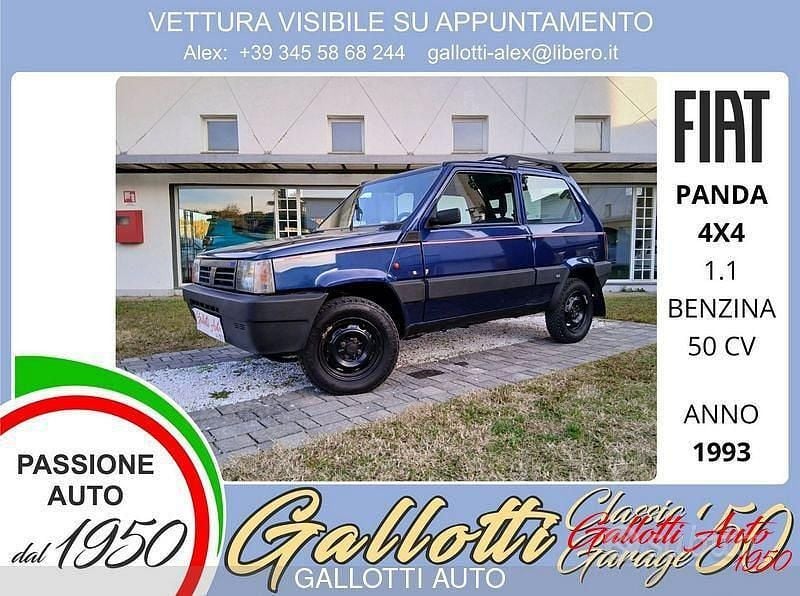Usata Fiat Panda 4x4 Trekking 50 CV (36 kW) 1993 Blu Utilitaria