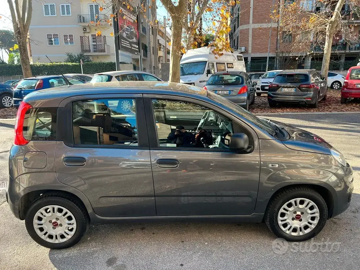 Usata Fiat Panda Easy 69 CV (50 kW) 2018 Grigio Utilitaria
