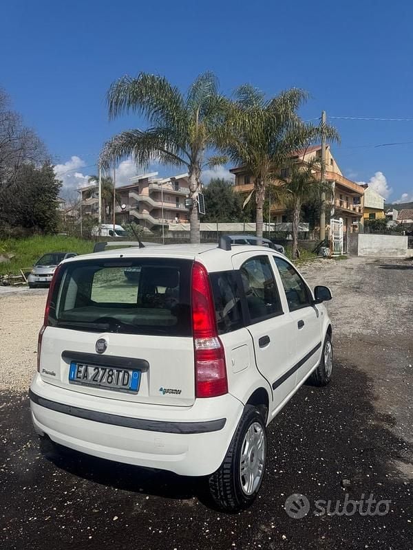 Usata Fiat Panda Dynamic 60 CV (44 kW) 2010 Bianco Utilitaria