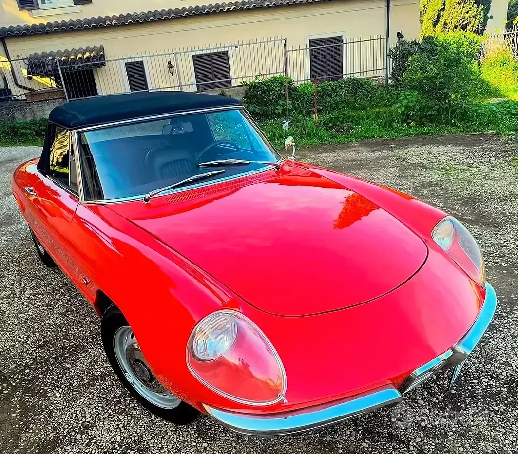 Usata Alfa Romeo Spider 102 CV (75 kW) 1960 Rosso Cabrio