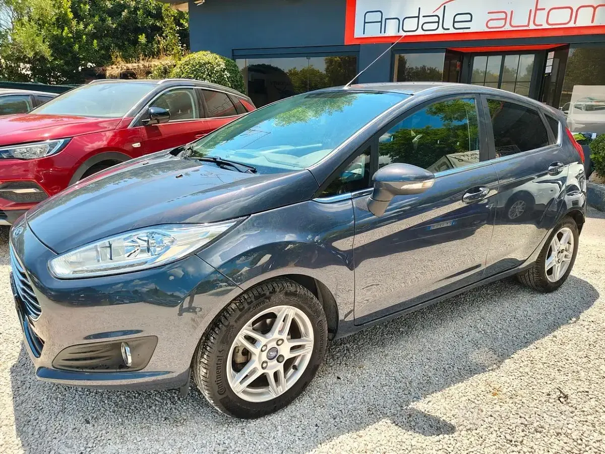 Usata Ford Fiesta Titanium 95 CV (69 kW) 2014 Grigio Utilitaria
