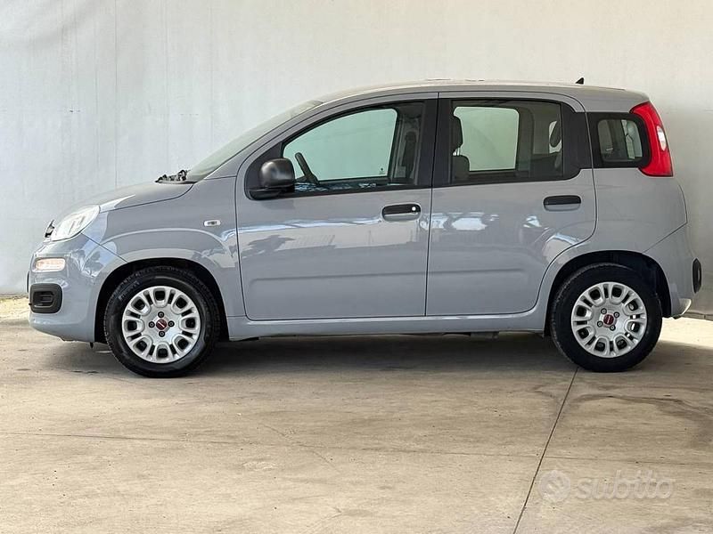 Usata Fiat Panda 70 CV (51 kW) 2022 Grigio Utilitaria