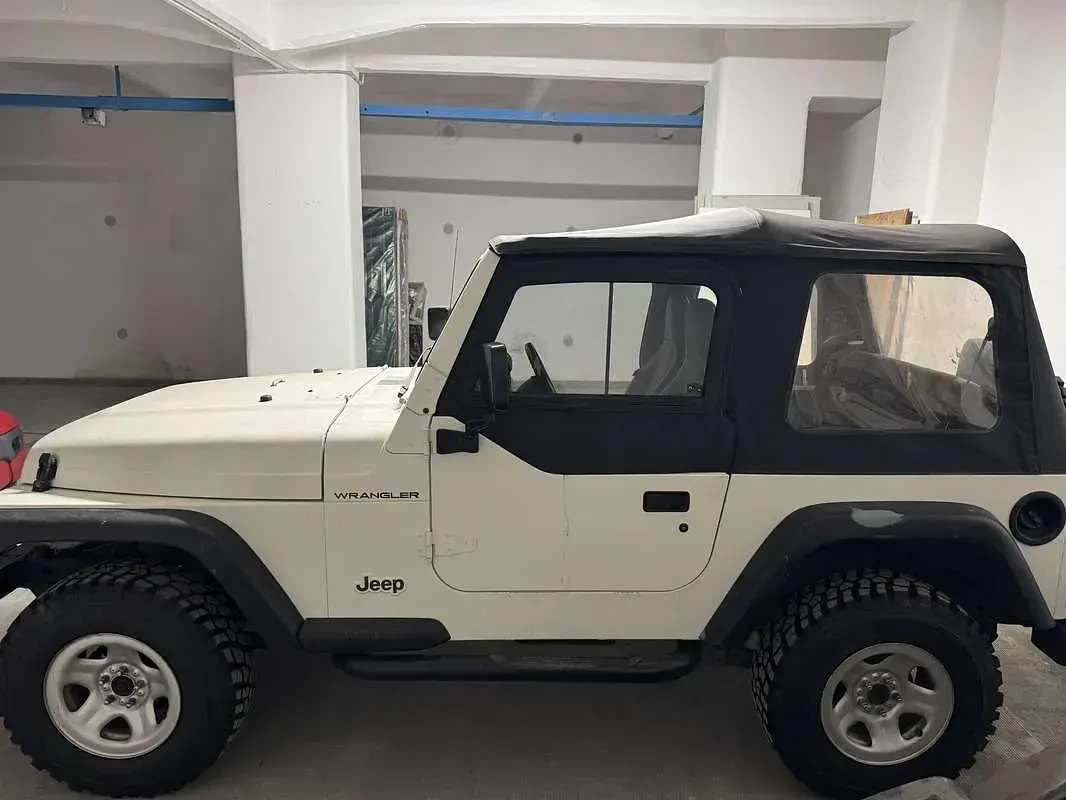 Usata Jeep Wrangler 118 CV (86 kW) 1998 SUV