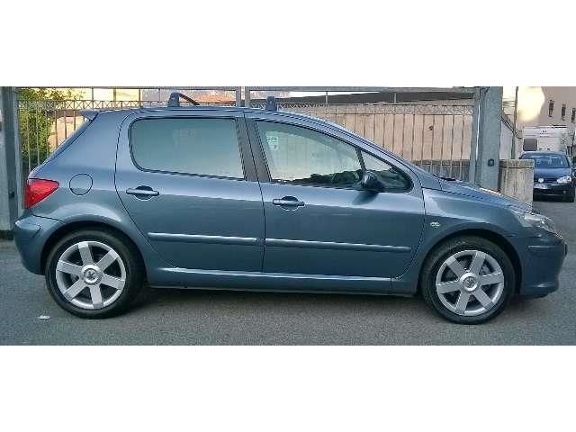 Peugeot 307 feline