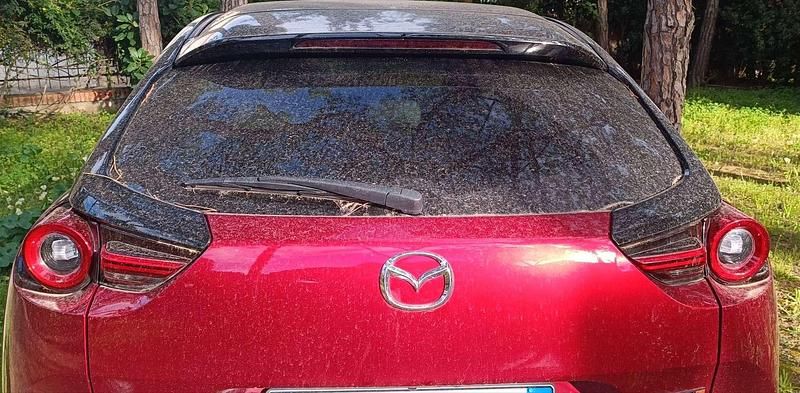 Usata Mazda MX30 Makoto 53 kW (73 CV) 2024 Rosso SUV