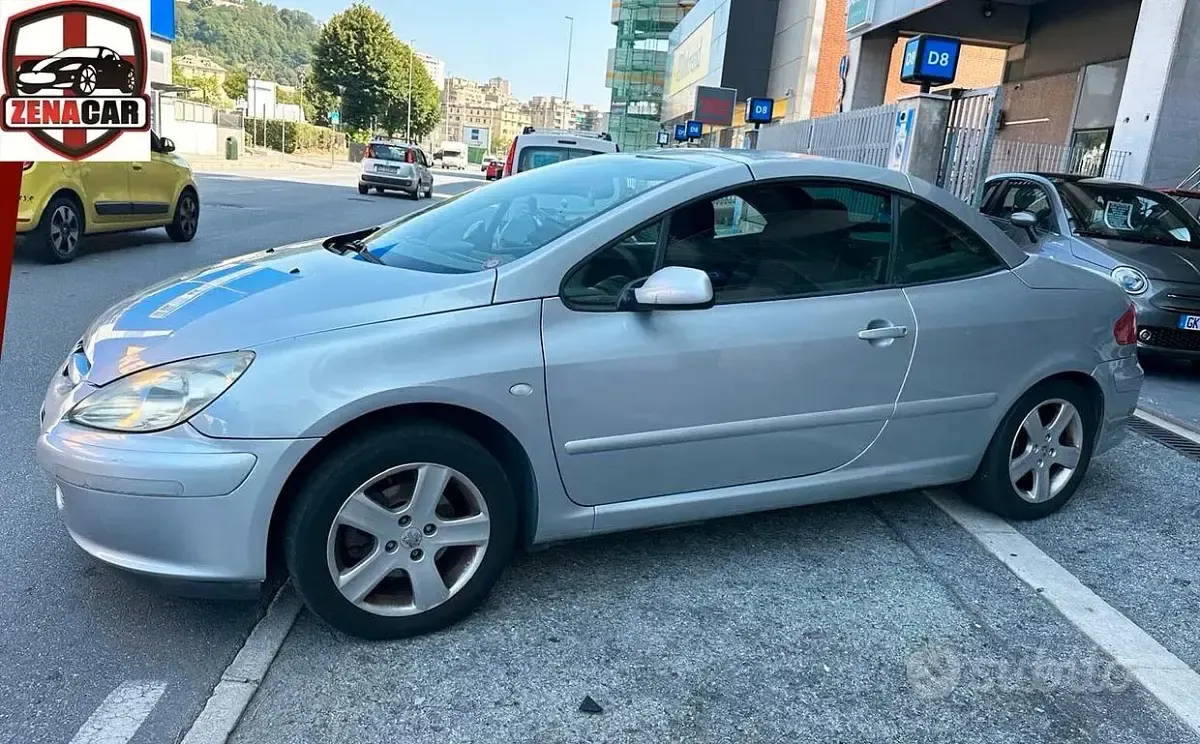 Usata Peugeot 307 CC 109 CV (80 kW) 2004 Grigio Cabrio