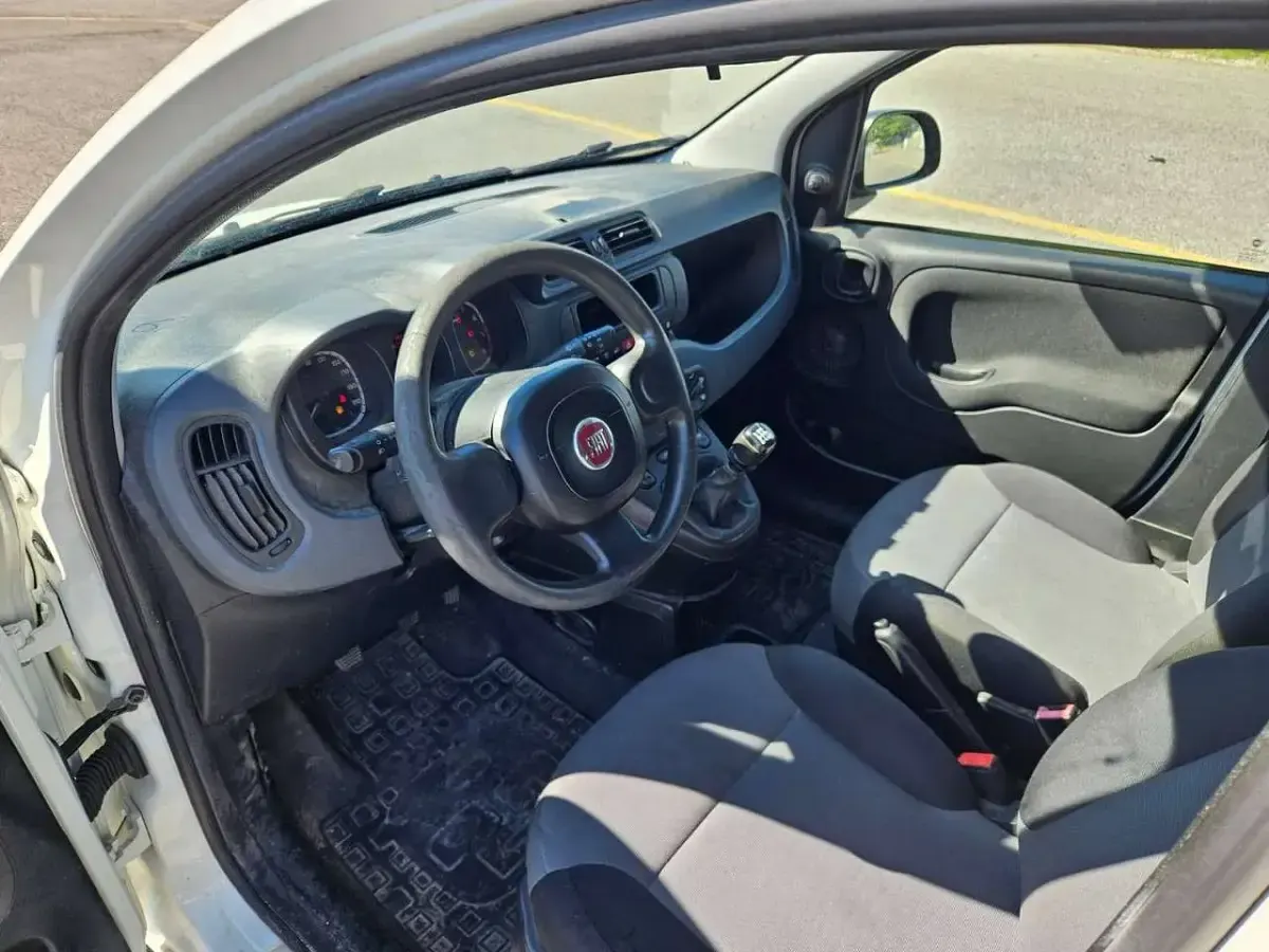 Usata Fiat Panda 4x4 Pop 86 CV (63 kW) 2019 Bianco Utilitaria