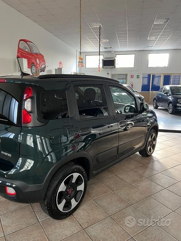 Usata Fiat Panda Cross Cross 71 CV (52 kW) 2024 Verde Utilitaria