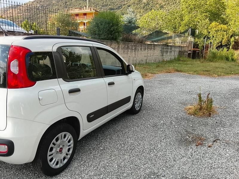 Usata Fiat Panda Lounge 69 CV (50 kW) 2019 Utilitaria
