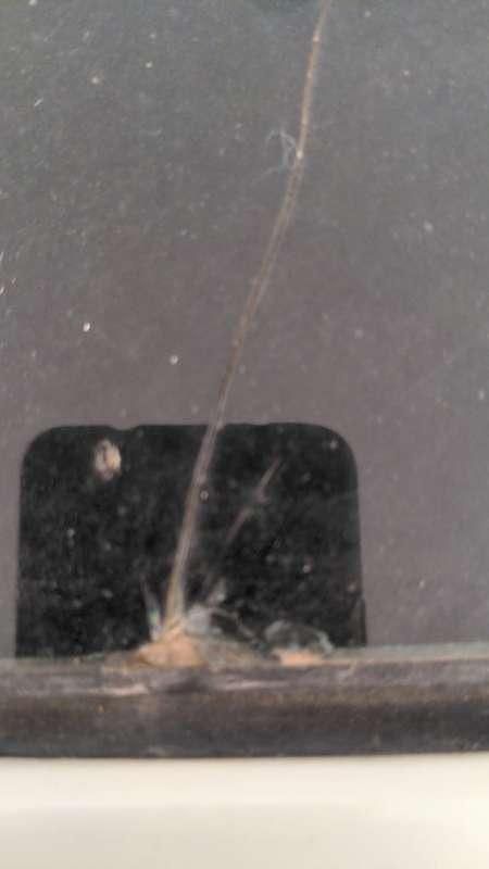 Usata DS Automobiles DS5 Sport Chic 181 CV (133 kW) 2015 Utilitaria