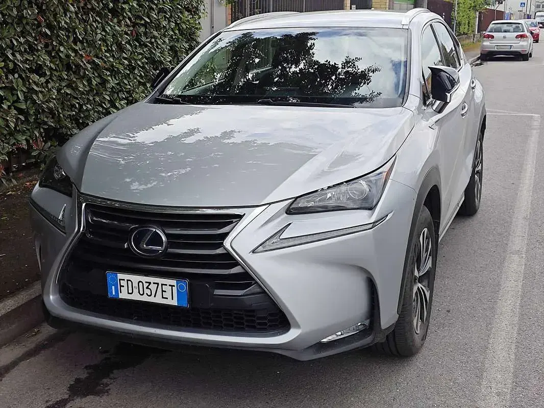 Usata Lexus NX300h Executive Line 155 CV (114 kW) 2016 Argento SUV