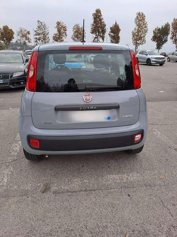 Usata Fiat Panda Easy 69 CV (50 kW) 2020 Grigio Berlina