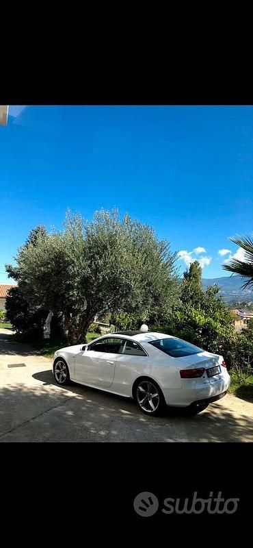 Usata Audi A5 2010 Bianco Coupé