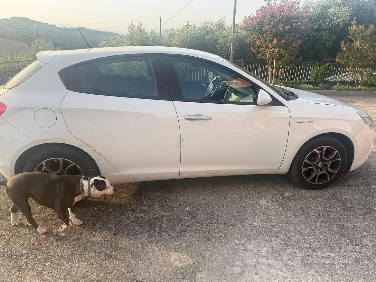 Usata Alfa Romeo Giulietta 105 CV (77 kW) 2013 Bianco Utilitaria