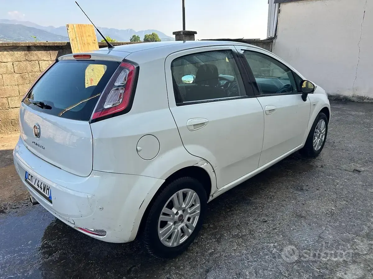 Usata Fiat Punto Lounge 95 CV (69 kW) 2013 Bianco Utilitaria