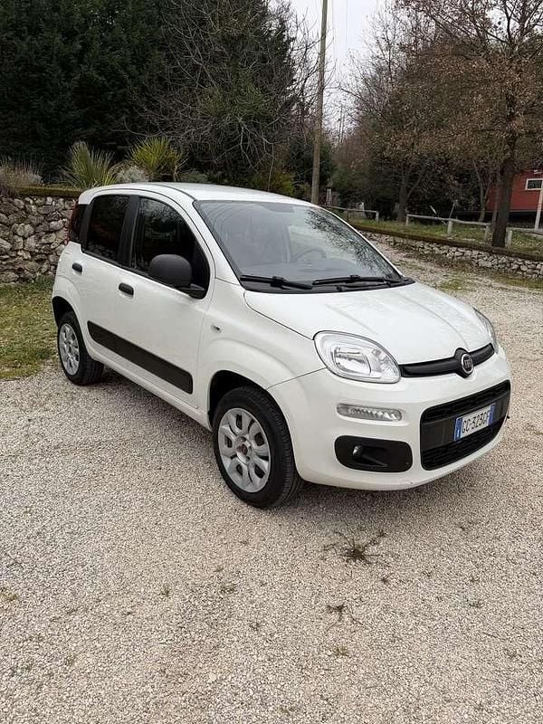 Usata Fiat Panda 4x4 Pop 86 CV (63 kW) 2020 Bianco Utilitaria