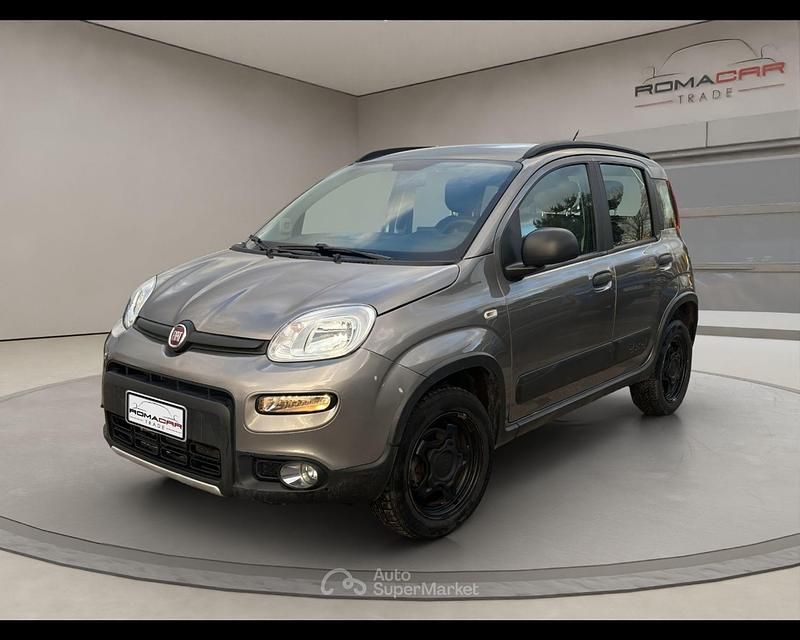 Usata Fiat Panda 4x4 S 86 CV (63 kW) 2020 Grigio Utilitaria
