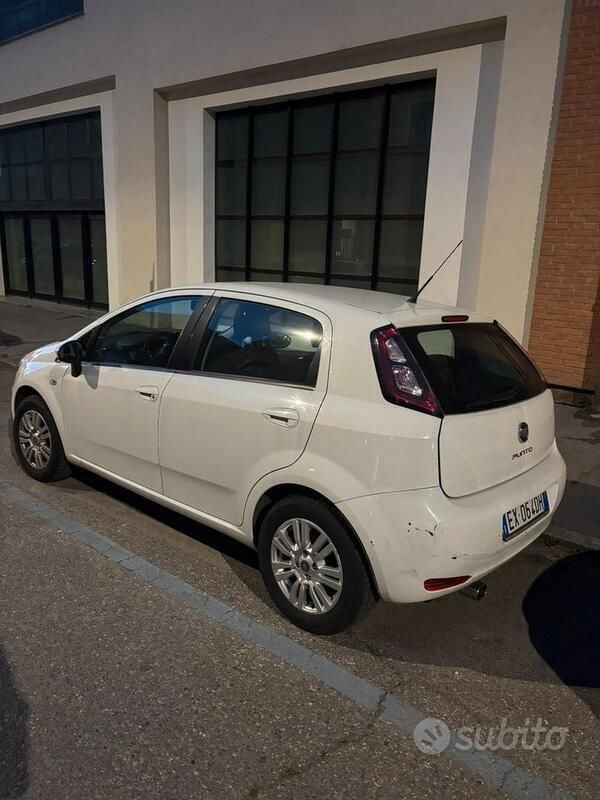 Usata Fiat Punto Lounge 77 CV (56 kW) 2014 Bianco Utilitaria